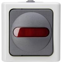 Kopp 561656007 BlueElectric Compleet Controleschakelaar spatwaterdicht Grijs 1 stuk(s) Kopp 561656007 BlueElectric Compleet Controleschakelaar spatwaterdicht Grijs 1 stuk(s)