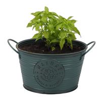 Plantenpot/bloempot teil voor buiten - zink - rond - petrolblauw - D22 x H12 cm