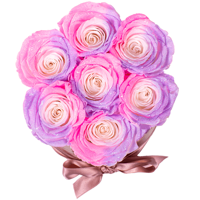 Flowerbox longlife Zara roze special Flowerbox longlife Zara roze special