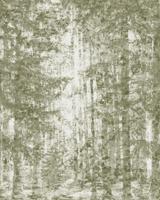 Komar Infinity 2 Fotobehang Fading Forest - IF2-013