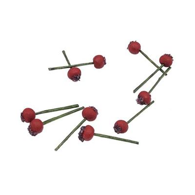 10 stuks 1:12 fruit simulatie Hawthorn keuken accessoire mini huis speelgoed (rood)