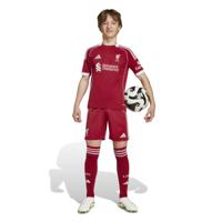 adidas Liverpool Thuistenue 2025-2026 Kids