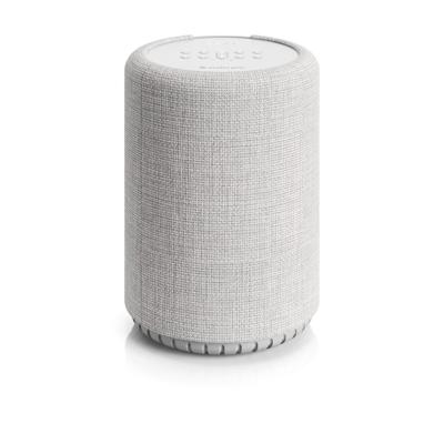 Audio ProG10 Smart Assistant Multiroom Wifi speaker Grijs
