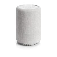 Audio ProG10 Smart Assistant Multiroom Wifi speaker Grijs