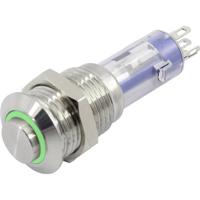 TRU COMPONENTS TC-6647556 LAS4GQH-11ZE/G/12V/S Drukschakelaar 48 V 2 A 1x aan/uit Continu Groen 1 stuk(s)