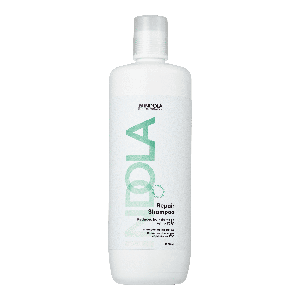 Indola Repair Shampoo