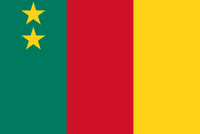 Vlag Kameroen - thumbnail
