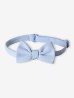 Effen vlinderdas jongens hemelsblauw