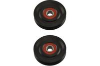 Spanrol, Poly V-riem DTP6519
