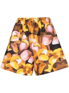 Kika Vargas short Elisa à fleurs - Multicolore