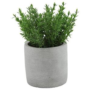 Kunstplant/kruiden thijm - Countryfield - in grijs cement potje - 19 cm - kruiden