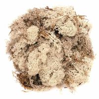 Decoratie mos naturel 100 gram