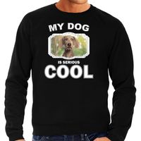 Weimaraner honden sweater / trui my dog is serious cool zwart voor heren - thumbnail