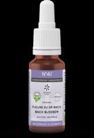 Bach bloesems mengeling 41 concentratie bio 20 Milliliter