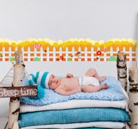 Muursticker sierrand hek met bloemen