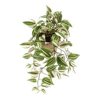 Groene Tradescantia/vaderplant kunstplant 50 cm in pot - thumbnail