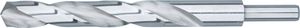 Rotec HSS-G spiraalboor, DIN 338, type N, d2=10, ø13,5 - 1051351