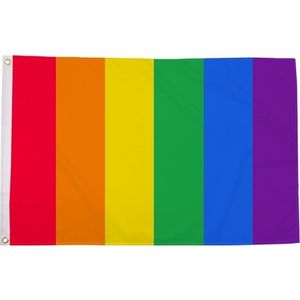Regenboog LGBT vlag 90 x 150 cm verticale strepen