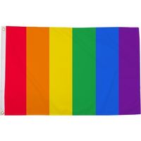 Regenboog LGBT vlag 90 x 150 cm verticale strepen - thumbnail
