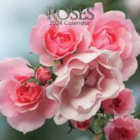 Rozen Kalender 2024