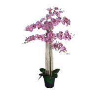 Phalaenopsis Orchidee in pot 110 cm Tiger Cerise kunstplant Buitengewoon de Boet - Buitengewoon de boet