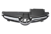 Radiateurgrille 6502073171992P