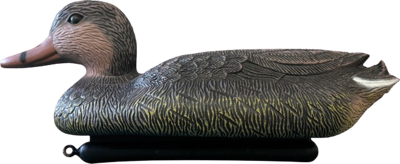 Superfish Wilde eend vrouw