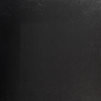 PVC Wandpaneel - Afimera - Effen Puur Zwart Mat 280x120x0.3cm