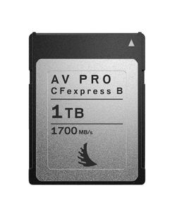 Angelbird Technologies AV PRO CFexpress 1000 GB