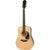 Epiphone Songmaker DR-100 Natural akoestische westerngitaar