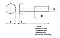 Bout rvs zeskante kop m10x120