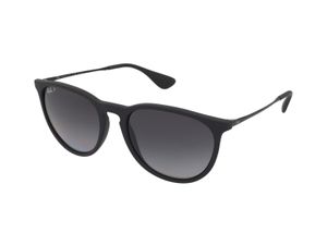 Ray-Ban ERIKA COLOR MIX zonnebril Piloot