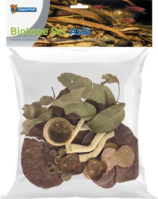 Biotope set asia Superfish - Superfish