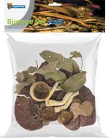 Biotope set asia Superfish - Superfish