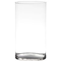 Bloemenvaas Neville - helder transparant - glas - D16 x H30 cm   -