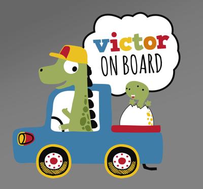 (naam) baby aan boord sticker