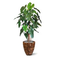Philodendron deluxe kunstboom 170cm - thumbnail