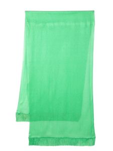 Maria Lucia Hohan foulard en soie à franges - Vert