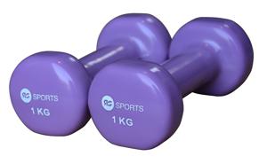 Vinyl dumbells 2 x 1.0 kg