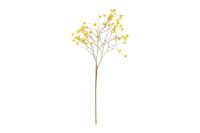 Decostar Countryfield Kunstbloem Malus S geel