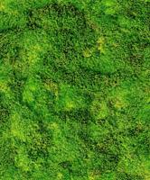 Noordwand Textura Behang mosmuur - 1545733