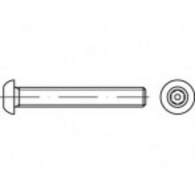 TOOLCRAFT TO-5380074 Veiligheidsschroeven M12 25 mm Binnenzeskant (inbus) met stift 88113 RVS A2 500 stuk(s)