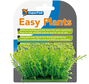 Easy Plants Carpet M= 3 Cm