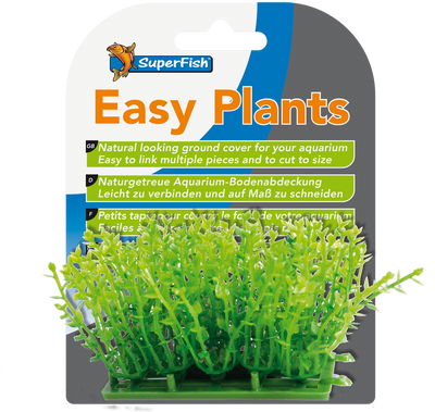 Easy Plants Carpet M= 3 Cm
