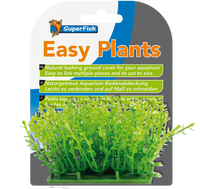 Easy Plants Carpet M= 3 Cm Easy Plants Carpet M= 3 Cm
