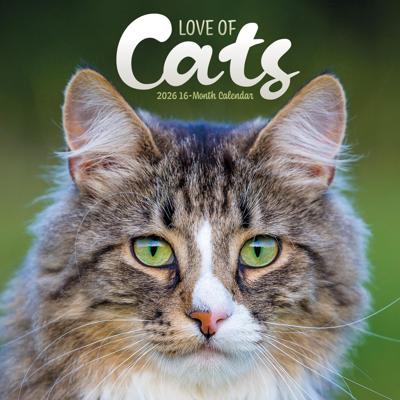 Katten Liefde Kalender 2026