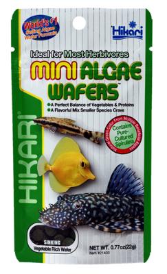 MINI ALGAE WAFERS 22 GRAM - Hikari