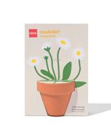 HEMA Groeipot madeliefje