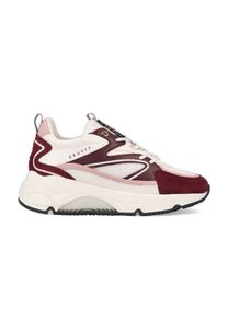 Cruyff Madina Bold CC223983-301 Bordeaux / Wit maat