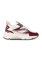 Cruyff Madina Bold CC223983-301 Bordeaux / Wit maat